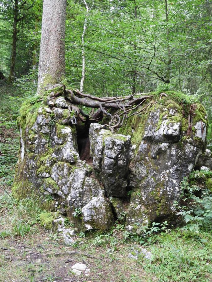 Apartamento Kraehenberg Am Rande Der Wildnis Sibratsgfäll Exterior foto